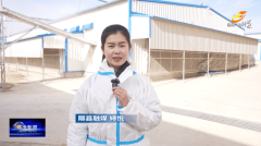 隰县：禽蛋财产帮推县域经济高质量成长